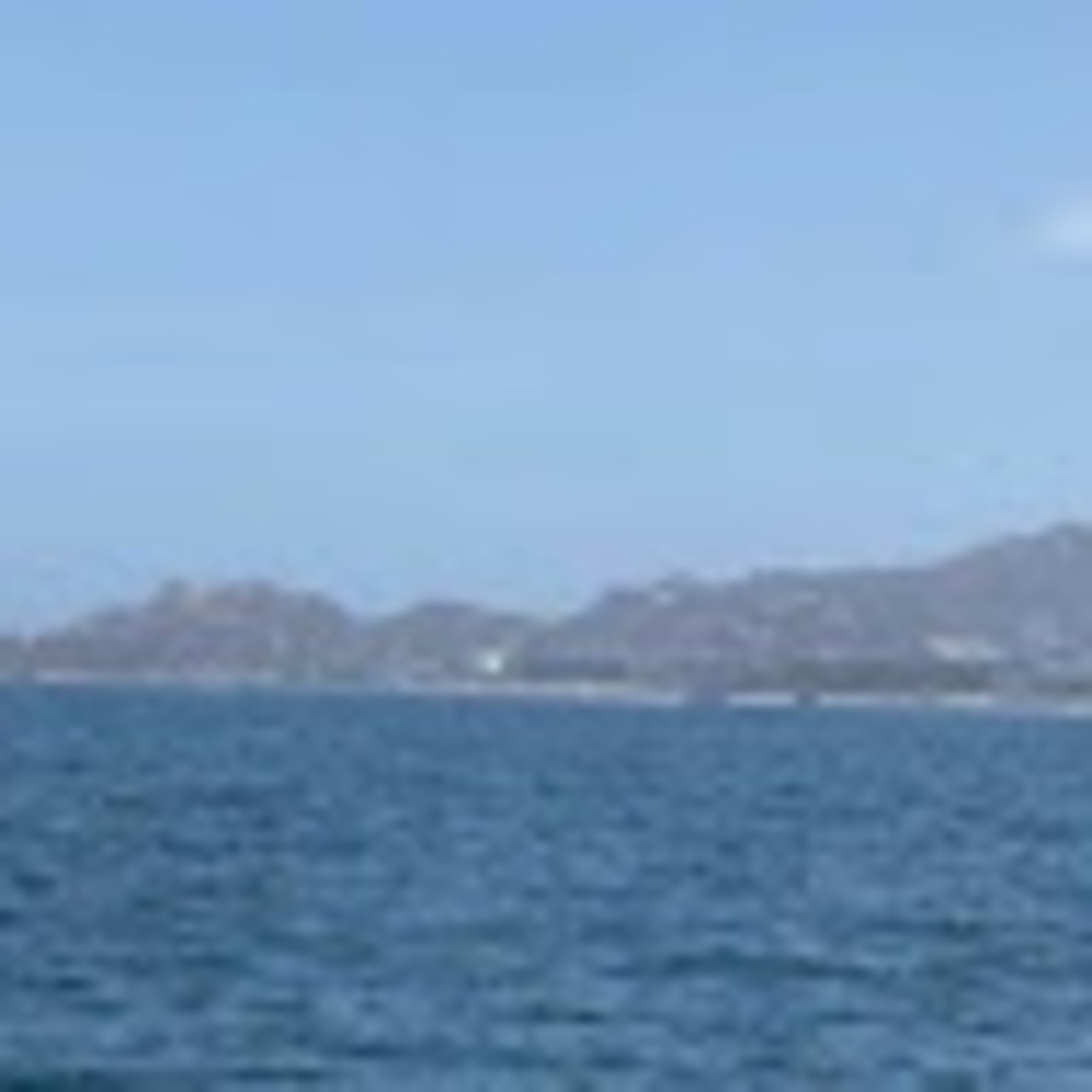 Meet your Posher, Ella